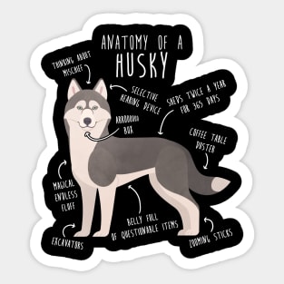 Grey Siberian Husky Dog Anatomy Sticker